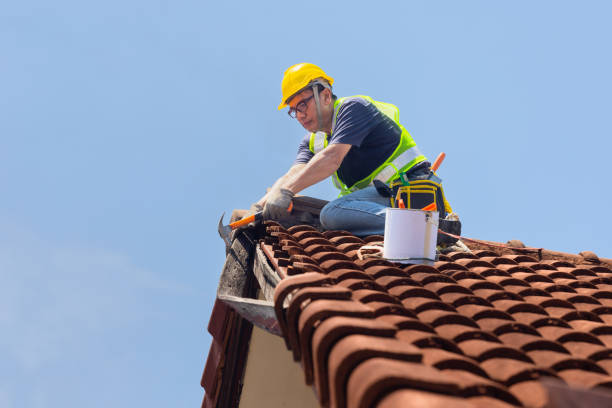 Best Roof Maintenance and Cleaning  in Seis Lagos, TX